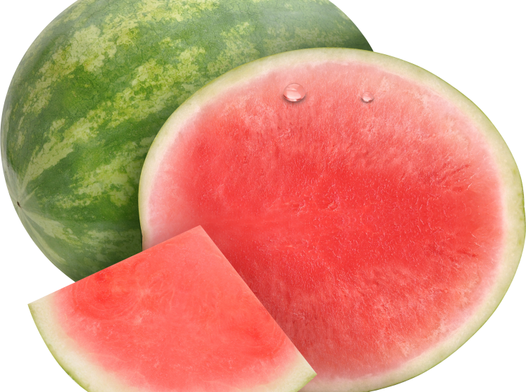 watermelon_PNG2652